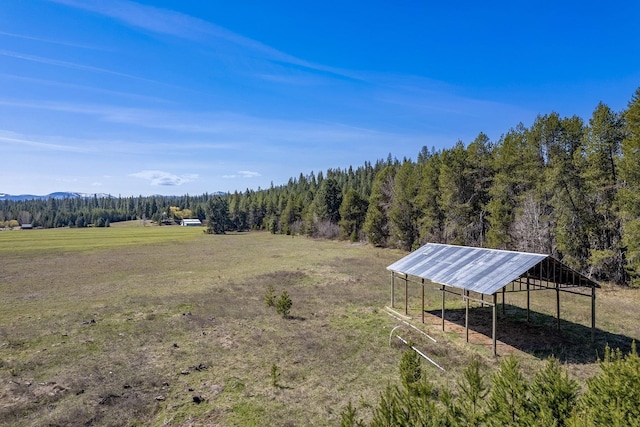 572 Smiley Ln, Newport, WA 99156 - view of yard with a rural view and a forest view