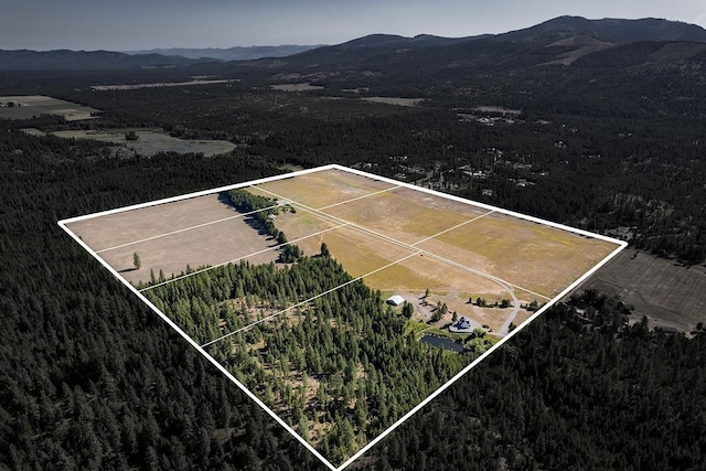 572 Smiley Ln, Newport, WA 99156 - bird's eye view with a forest view and a mountain view