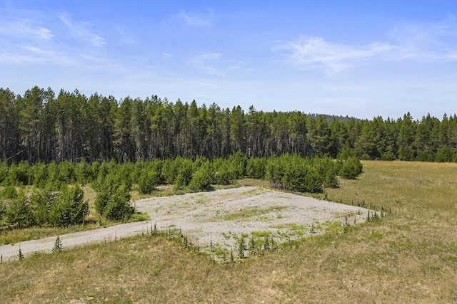 572 Smiley Ln, Newport, WA 99156 - view of landscape with a wooded view