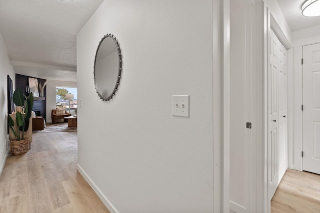 1111 W 6th Ave # 205, Spokane, WA 99204 - hallway with light wood-type flooring and baseboards