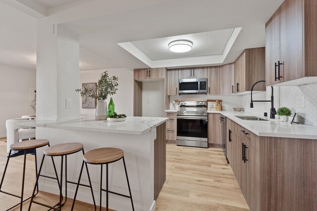 1111 W 6th Ave # 205, Spokane, WA 99204 - kitchen featuring appliances with stainless steel finishes, a sink, a tray ceiling, a breakfast bar, and light wood-style flooring