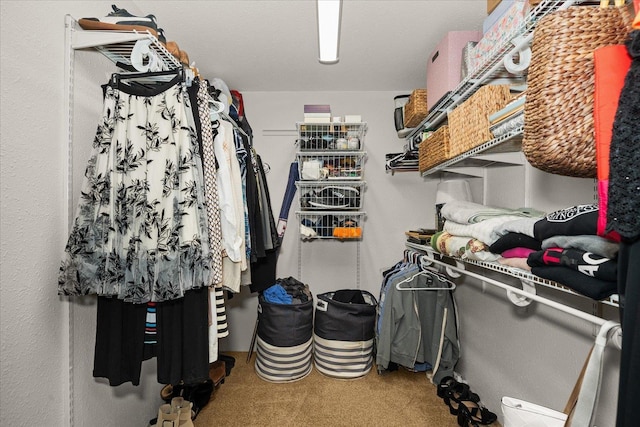 spacious closet with carpet