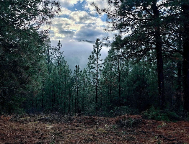 0 E View Ridge Ln, Spokane, WA 99206