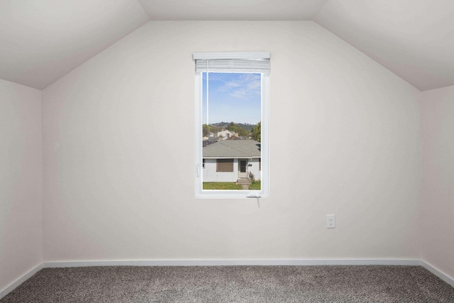 additional living space featuring baseboards, carpet, and lofted ceiling