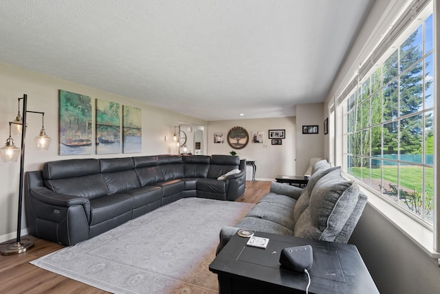 living room featuring baseboards and wood finished floors