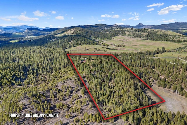 1565 Evans Cutoff Rd, Evans, WA 99126 - photo 48