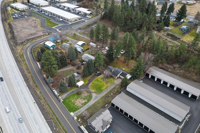 drone / aerial view