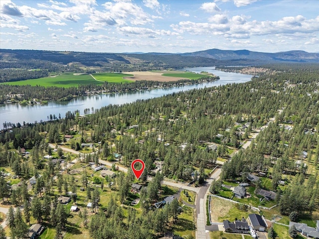 16503 N Mockingbird Ln, Nine Mile Falls, WA 99026 - birds eye view of property featuring a water and mountain view and a wooded view