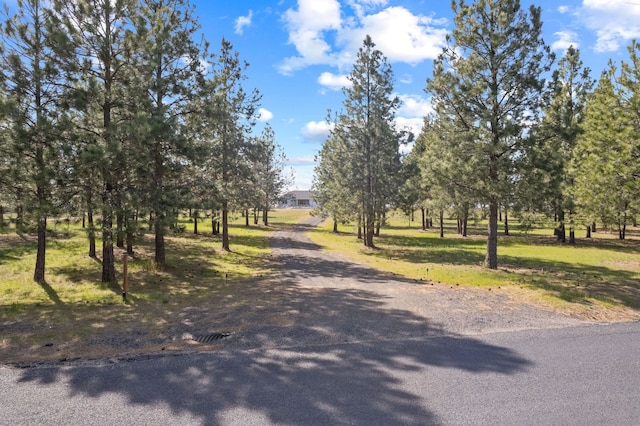 view of road with driveway