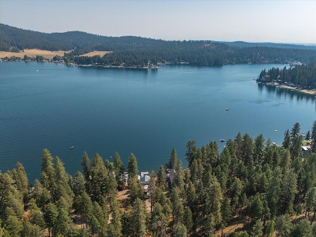 45420 Lake Shore Homes Rd, Loon Lake, WA 99148
