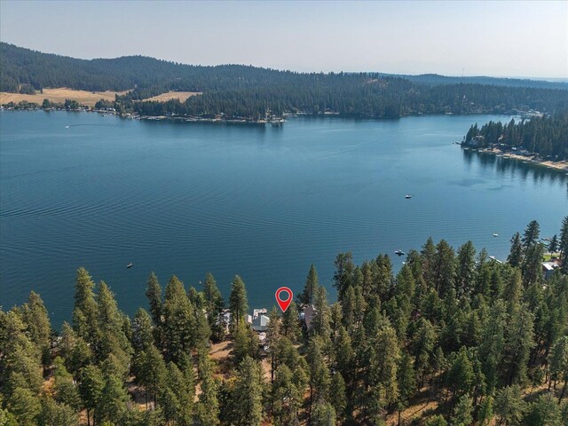 45420 Lake Shore Homes Rd, Loon Lake, WA 99148