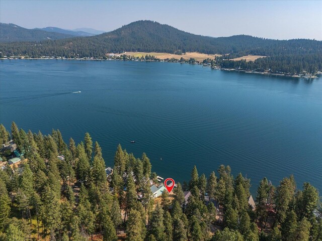 45420 Lake Shore Homes Rd, Loon Lake, WA 99148