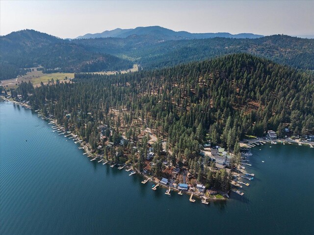 45420 Lake Shore Homes Rd, Loon Lake, WA 99148