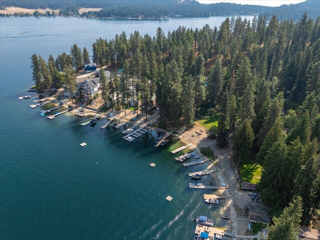 45420 Lake Shore Homes Rd, Loon Lake, WA 99148