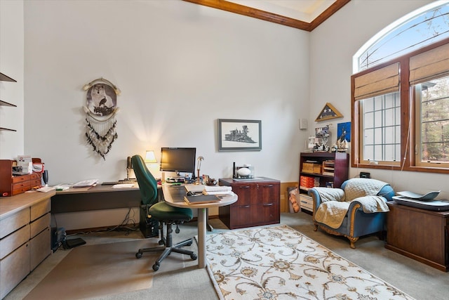 office space featuring a high ceiling and carpet flooring