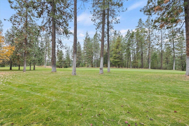 view of yard