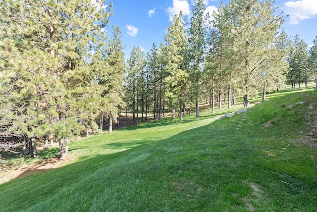 view of yard