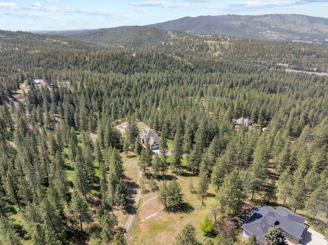 bird's eye view with a mountain view and a wooded view