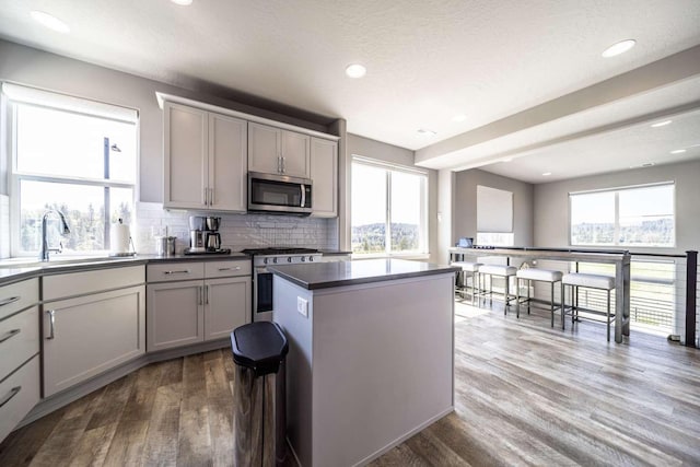 kitchen featuring wood finished floors, a center island, a sink, appliances with stainless steel finishes, and gray cabinetry