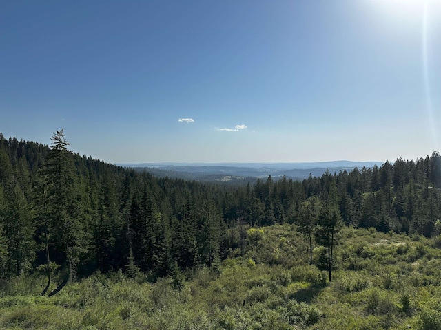 27312 N Jackson Rd, Chattaroy, WA 99003 - photo 1