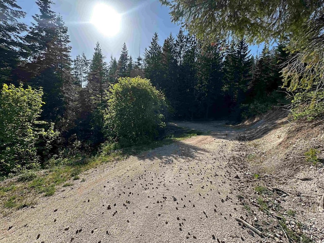27312 N Jackson Rd, Chattaroy, WA 99003 - photo 11