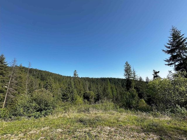 27312 N Jackson Rd, Chattaroy, WA 99003 - photo 12