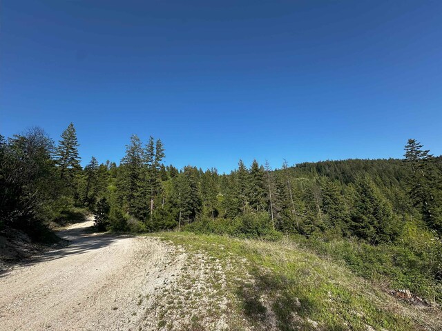 27312 N Jackson Rd, Chattaroy, WA 99003 - photo 13