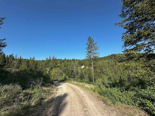 27312 N Jackson Rd, Chattaroy, WA 99003 - photo 16