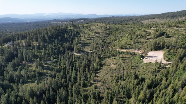 27312 N Jackson Rd, Chattaroy, WA 99003 - photo 3