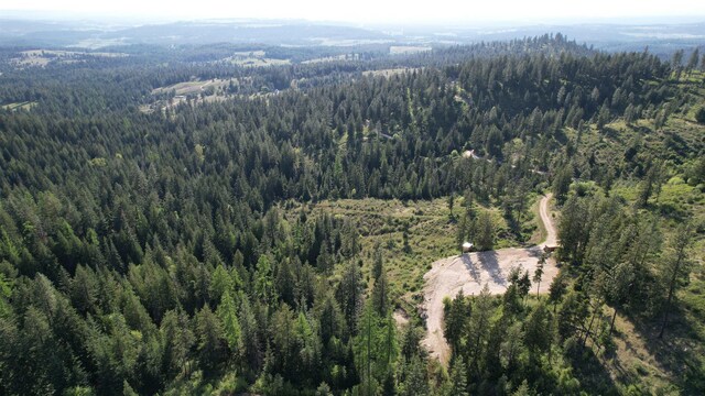 27312 N Jackson Rd, Chattaroy, WA 99003 - photo 4