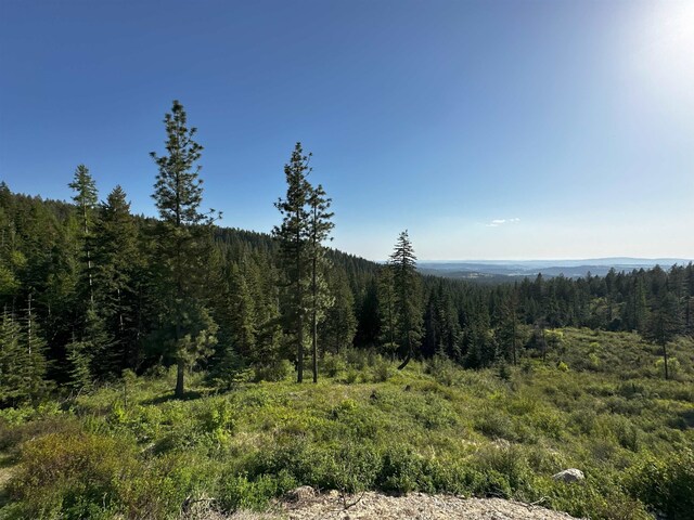 27312 N Jackson Rd, Chattaroy, WA 99003 - photo 6