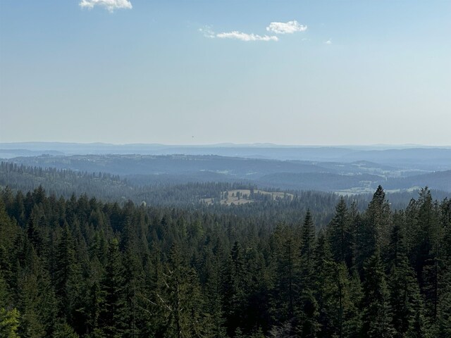 27312 N Jackson Rd, Chattaroy, WA 99003 - photo 8