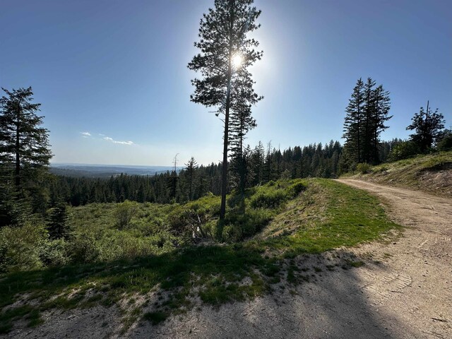 27312 N Jackson Rd, Chattaroy, WA 99003 - photo 9