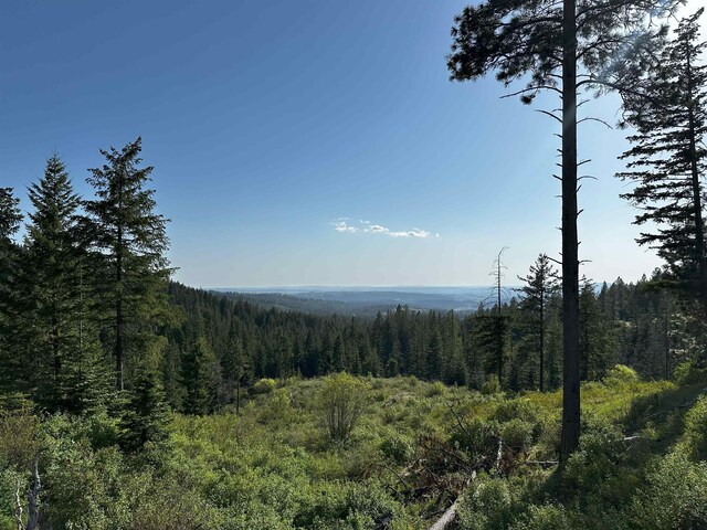 27312 N Jackson Rd, Chattaroy, WA 99003 - photo 10