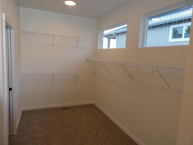walk in closet featuring carpet floors and visible vents