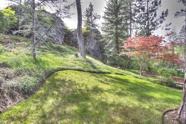 2010 E Pinecrest Rd, Spokane, WA 99203 - view of yard featuring a forest view