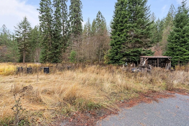 view of local wilderness featuring a forest view