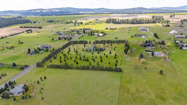 bird's eye view featuring a mountain view and a rural view