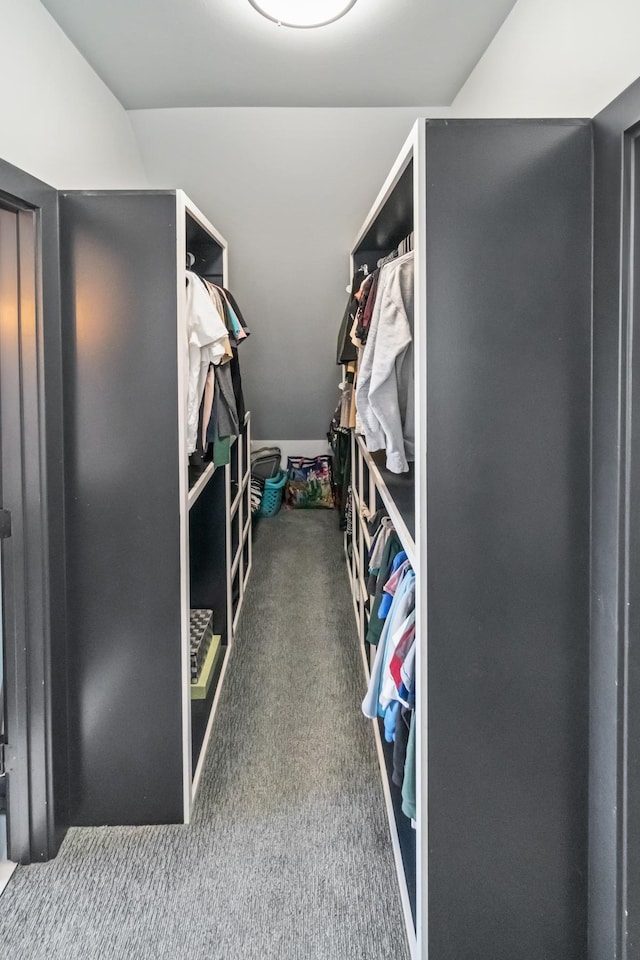 walk in closet with carpet