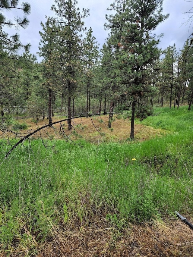 view of landscape featuring a wooded view