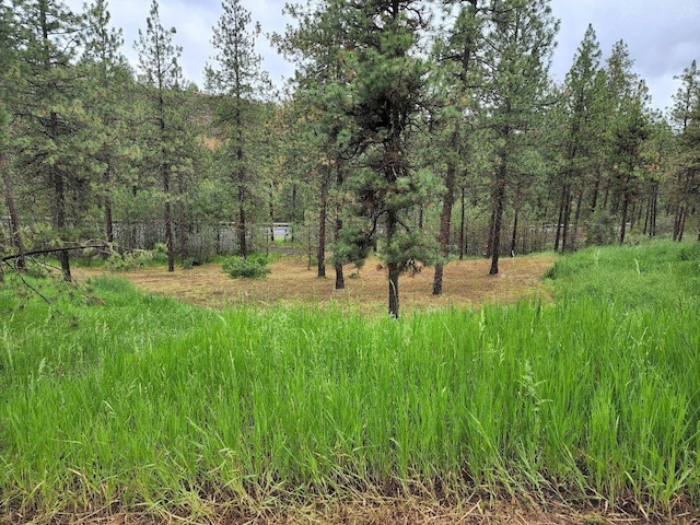 view of nature featuring a wooded view