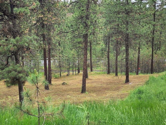 view of local wilderness featuring a wooded view