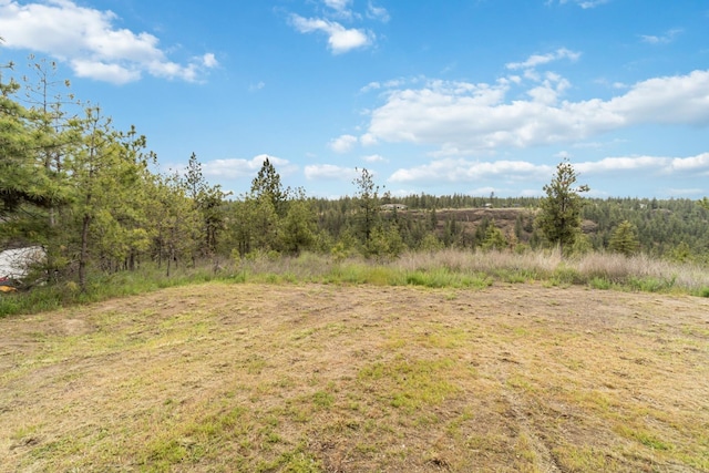 view of local wilderness
