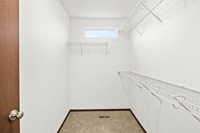 walk in closet featuring carpet flooring and visible vents