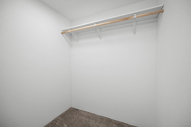 spacious closet featuring carpet floors
