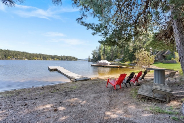 dock area with a water view