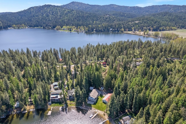 bird's eye view with a water and mountain view and a forest view