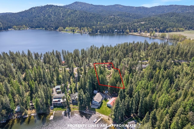 birds eye view of property with a water and mountain view and a view of trees