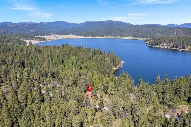 aerial view featuring a view of trees and a water and mountain view