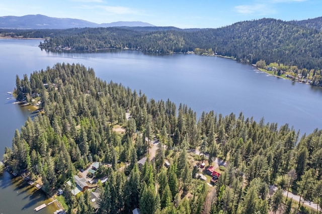aerial view featuring a view of trees and a water and mountain view